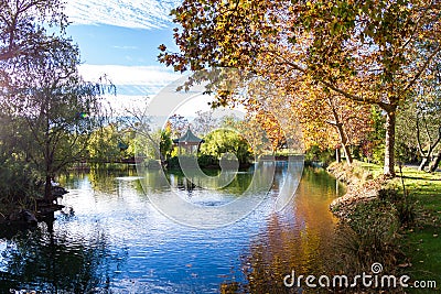 Calming autumn scene Stock Photo