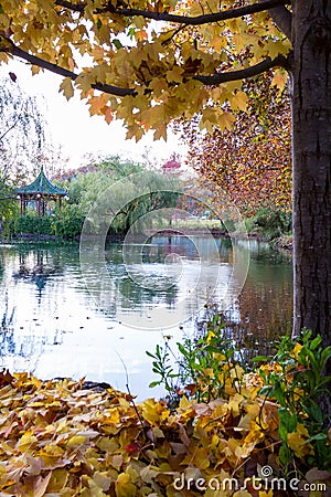 Calming autumn scene Stock Photo