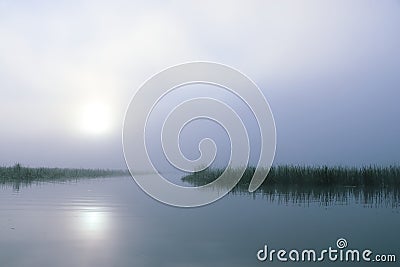 Calming Foggy morning sunrise at a lake with grass in the water Stock Photo