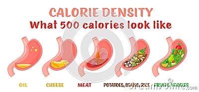 Calorie density. Horizontal poster. Editable vector illustration Vector Illustration