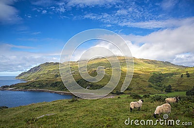 Camas nan Geall Stock Photo