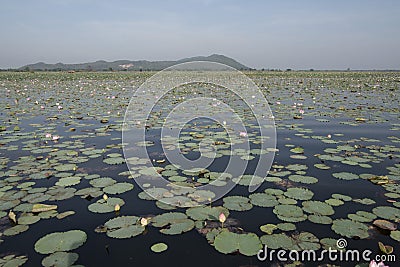 CAMBODIA BATTAMBANG KAMPING POUY LAKE Stock Photo