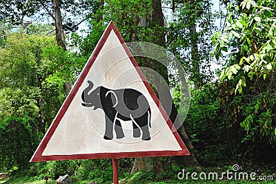 Cambodia; Be careful with animals Stock Photo