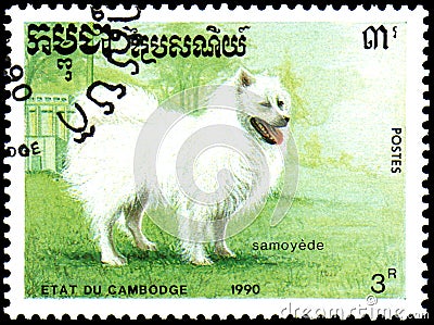 CAMBODIA - CIRCA 1990: postage stamp, printed in Cambodia, shows a Samoyed Dog Editorial Stock Photo