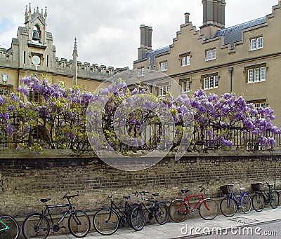 Cambridge bicycles Stock Photo