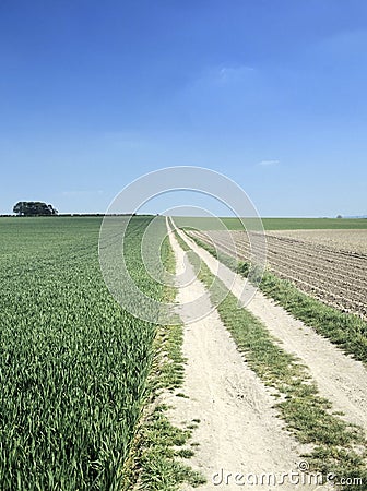 Cambridgeshire Stock Photo