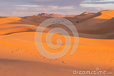 camel and bedouin footprints on the orange sand dunes of sahara desert in morocco Stock Photo