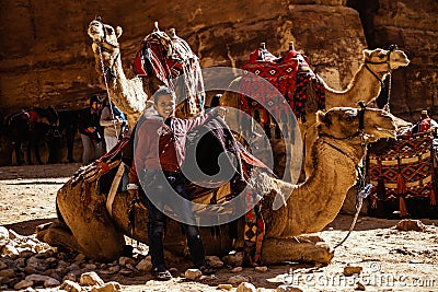 Camel boy in the ancient city of Petra Editorial Stock Photo