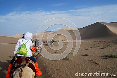 Camel caravan in the desert Editorial Stock Photo