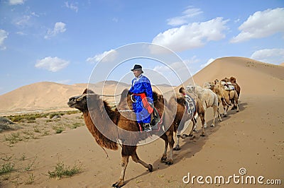 Camel caravan in the desert Editorial Stock Photo