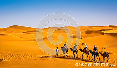 Camel caravan going through the sand dunes in beautiful Sahara Desert. Amazing view nature of Africa. Artistic picture. Beauty Editorial Stock Photo