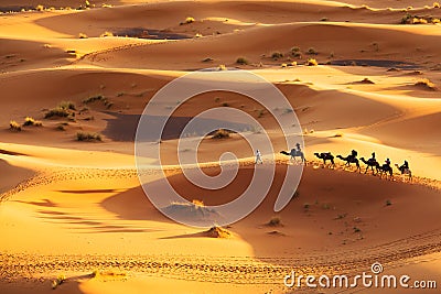 Camel Caravan Stock Photo