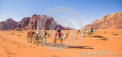 Camel caravan in majestic Wadi Rum Stock Photo