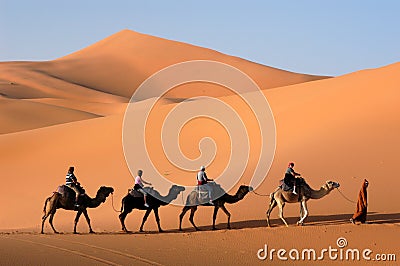 Camel Caravan in the Sahara Desert Stock Photo