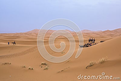 Camel caravan in the sahara desert Editorial Stock Photo