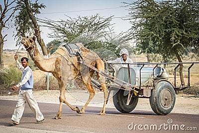 Camel cart Editorial Stock Photo