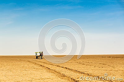 Camel cart on the wide expanse of Rann of Kutchh gujarat india Stock Photo