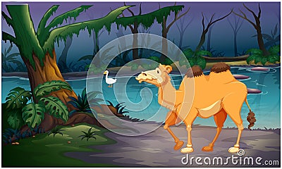 Camel is coming to drink water in the forest river Vector Illustration