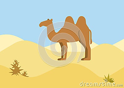 Camel desert habitat flat design cartoon vector wild animals Vector Illustration