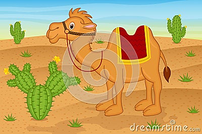 Camel in desert Vector Illustration