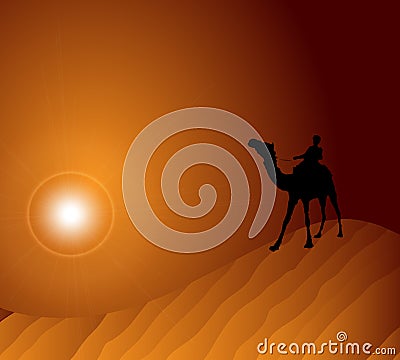 Camel in Desert Vector Illustration