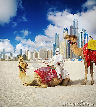 Camel on Dubai Beach Stock Photo