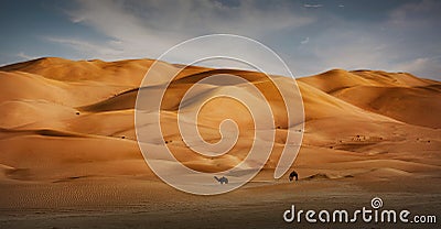 Camel in Empty Quarter Desert Dunes at Liwa, Abu Dhabi, United Arab Emirates Stock Photo