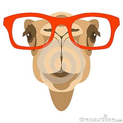 Camel face in glasses vector illustration front Vector Illustration