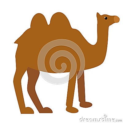 Camel flat illustration on white Vector Illustration