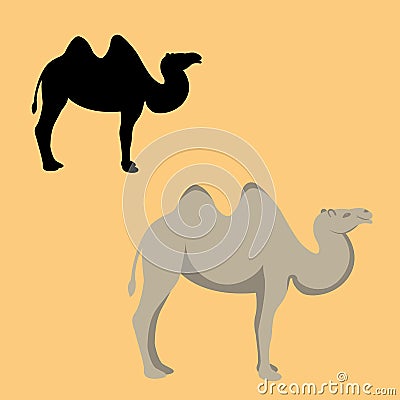 Camel flat style vector illustration silhouette Vector Illustration