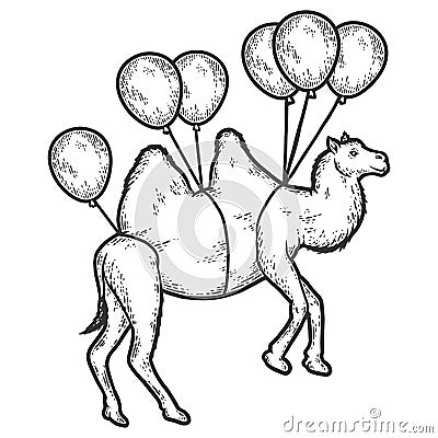 Camel flies on balloons. Sketch scratch board imitation. Black and white. Vector Illustration