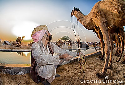 Camel herder Editorial Stock Photo