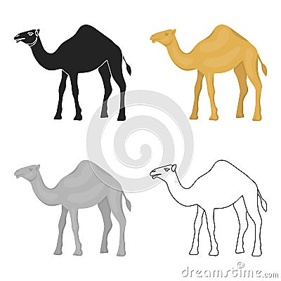 Camel icon in cartoon style isolated on white background. Arab Emirates symbol stock vector illustration. Vector Illustration