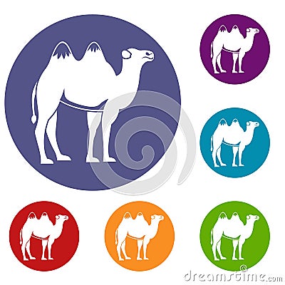 Camel icons set Vector Illustration