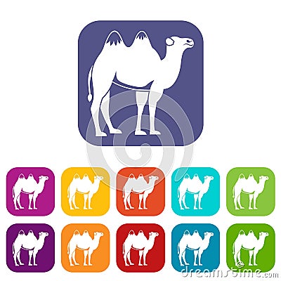 Camel icons set Vector Illustration