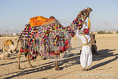 Camel and indian men participate in Desert Festival. Jaisalmer, Rajasthan, India Editorial Stock Photo