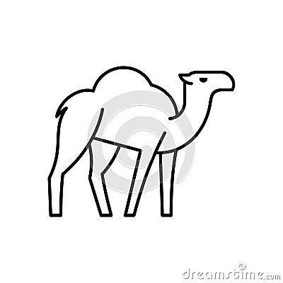 Camel line icon Vector Illustration