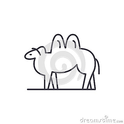 Camel line icon concept. Camel vector linear illustration, symbol, sign Vector Illustration