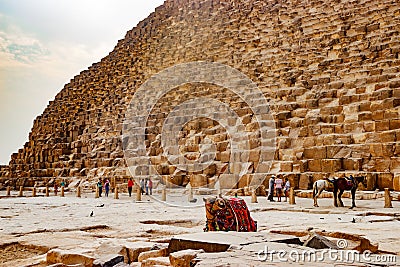 Camel near the ancient pyramid in Cairo, Egypt Editorial Stock Photo