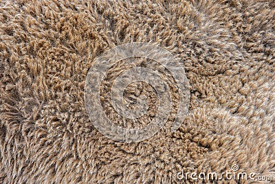Camel pattern design. Real fur texture. Animal print pattern tile background Stock Photo