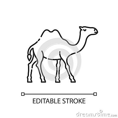 Camel pixel perfect linear icon Vector Illustration