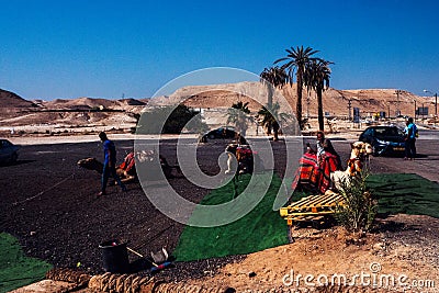 Camel rental place, Israel Editorial Stock Photo