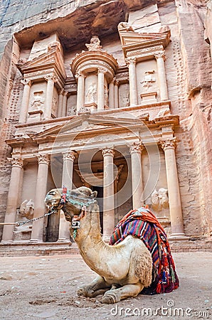 A Camel rests in front of the treasury, Petra, Jordan Stock Photo