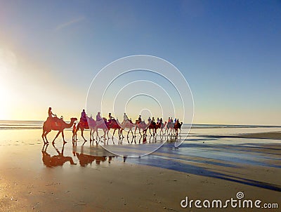 Camel Ride on Cable Beach, Broome, Western Australia Stock Photo