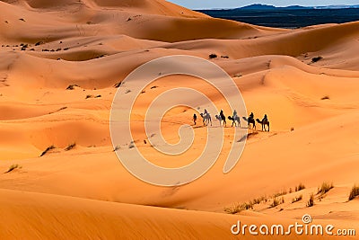 Camel ride through the desert Stock Photo