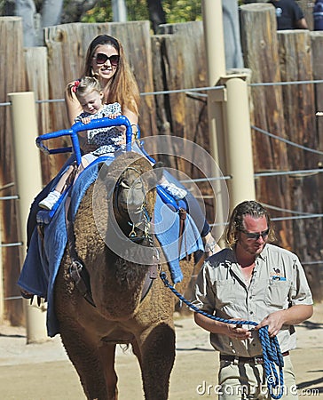 A Camel Ride at The Reid Park Zoo Editorial Stock Photo