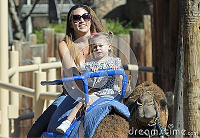 A Camel Ride at The Reid Park Zoo Editorial Stock Photo