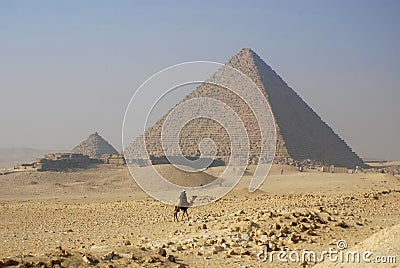 Camel rider Editorial Stock Photo