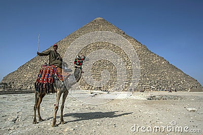 A camel and rider sit in front of The Pyramid of Khufu at Giza in Cairo in Egypt. Editorial Stock Photo