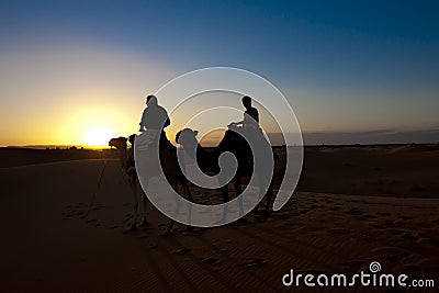 Silhouette of couple riding on camels at sunset in Sahara, Morocco. Woman and man riding on dromedaries at dawn. Stock Photo